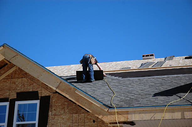 Best Metal Roofing Contractor  in Clksville, AR